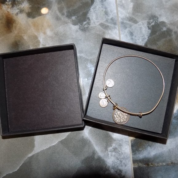 Alex And Ani Energy Aum Om Lotus Charm Rafaelian Silver Bangle Bracelet - Picture 1 of 3